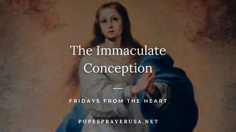 Immaculate Conception 的图像结果
