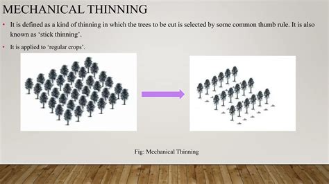 thinning and its effect on growth and yield.pptx