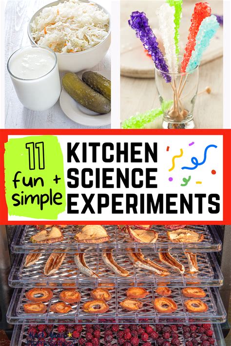Image result for Fun Science Experiments