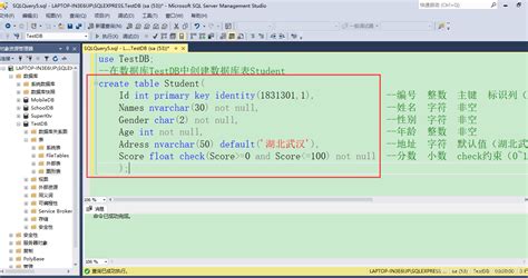 SQL Server数据库第三课2：使用create语句新建数据库、数据库表 - 王迪 - CSDN博客
