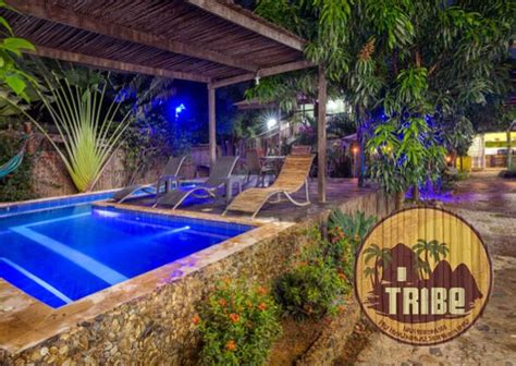 TRIBE (Palomino) - Specialty Inn Reviews & Photos - Tripadvisor