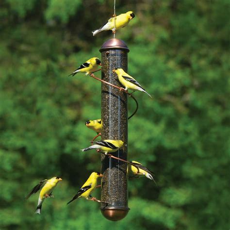 Spiral Finch Tube Bird Feeder Copper | Momma's Home Store