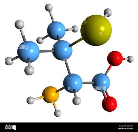 3D image of Penicillamine skeletal formula - molecular chemical structure of Wilson's disease ...