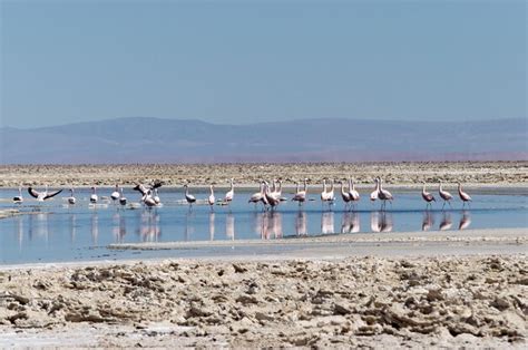 Page 5 | Walvis bay namibia Photos - Download Free High-Quality ...