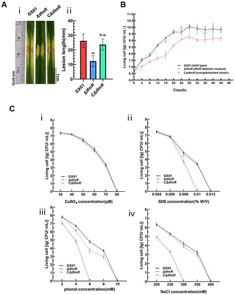 The Transcriptional Regulator TfmR Directly Regulates Two Pathogenic ...