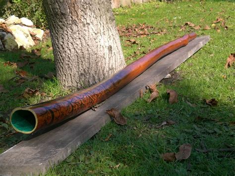 Professional Didgeridoo