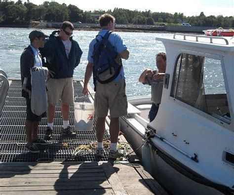 DOWNEAST COASTAL CRUISES Guide (2026) All You Need to Know BEFORE You ...