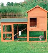 Image result for Rabbit Cages and Hutches