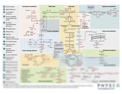 Biochemistry Process Map 的图像结果