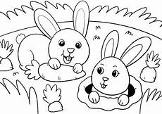 ausmalbilder tiere hase malvorlagen und ausmalbilder tieren jetzt kostenlos ausmalbilder tiere hase malvorlagen und ausmalbilder tieren jetzt kostenlos