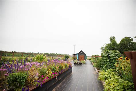 Activity 的图像结果