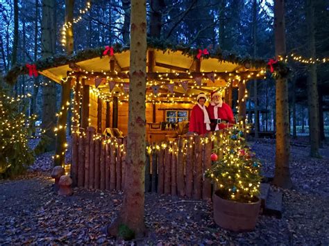 Enchanted Christmas at Evenley Wood Garden, Evenley Wood Garden ...