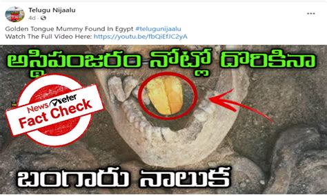 Fact check: True, archeologists excavated mummy with a golden tongue in ...