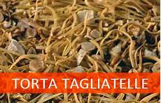 torta di tagliatelle mantovana ricetta torta di tagliatelle mantovana torta di tagliatelle mantovana ricetta torta di tagliatelle mantovana