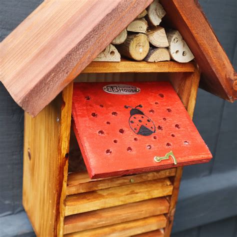 Lady Bug House - Beneficial For Garden