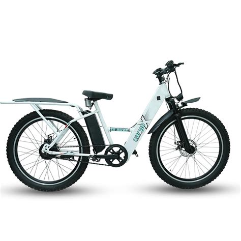 SS Bikes CargoX Heavy Duty Electric Cycle | 110+ km Range | Front ...