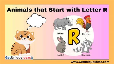 List of 100+ Animals that Start with R: Pictures, Facts - GetUniqueIdeas