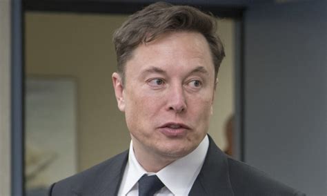 Elon Musk 的图像结果