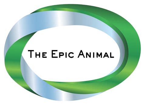 How Much Do Horses Weigh? | Average Horse Weight Explained