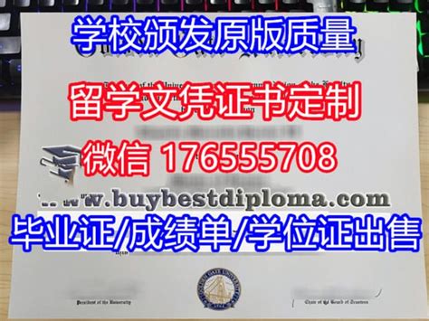 学历认证平台,毕业证学位证代办国外毕业证文凭英文学位认证留学 | PDF