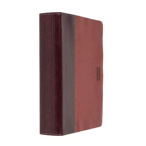 NLT Parallel Study Bible 的图像结果