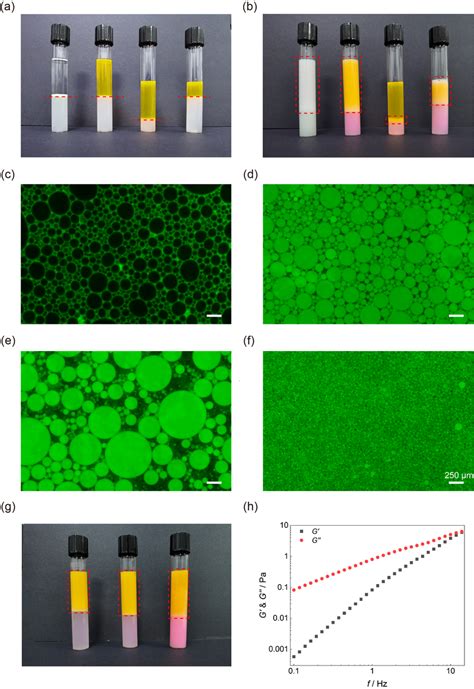 Image result for Emulsification Test Kit