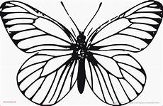 ausmalbilder schmetterling auf blume 97 einzigartig ausmalbilder schmetterling mit blume ausmalbilder schmetterling auf blume 97 einzigartig ausmalbilder schmetterling mit blume