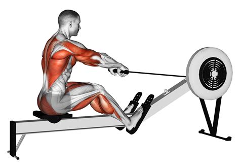 Elliptical vs Rowing Machine: Which is Best? - Inspire US