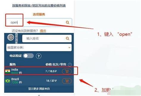 打新必看|10月11日两只新股申购，值得打吗？_行业_检测_公司