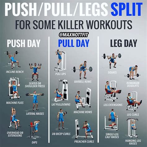 Push/Pull/Legs Weight Training Workout Schedule For 7 Days - GymGuider ...