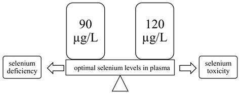 Selenium as a Bioactive Micronutrient in the Human Diet and Its Cancer ...