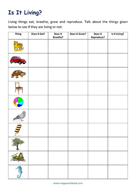 Characteristics Of Living Things Worksheet Middle School Living And