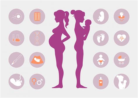 How Does Prenatal Paternity DNA Testing Work? - Endeavor DNA Laboratories
