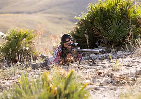 5-25x56 PM II LP TREMOR3 1cm cw DT27 MTC LT / ST ZC CT RAL 8000 | -3 to ...