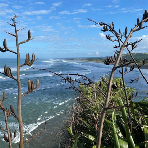 AUCKLAND PRIVATE SIGHTSEEING TOURS - All You Need to Know BEFORE You Go ...