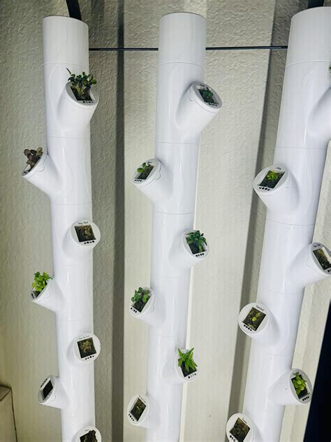 We started our indoor “Gardyn” about three months ago, and this is the ...