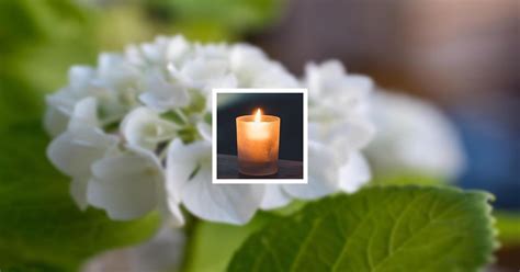 Obituary | Christine Stampfli of Freeport, Illinois | Walker Mortuary ...