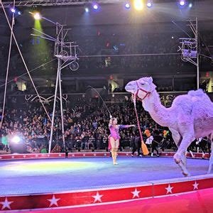 Carden international circus - Comedy Events | AllEvents.in