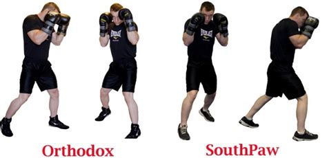 Basic Boxing Stance 的图像结果