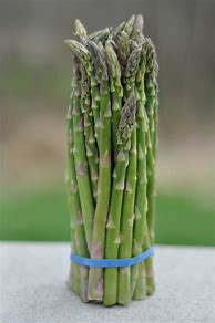 asparagus 的图像结果