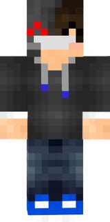 Image result for Bionic Minecraft Showcase