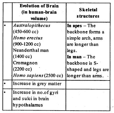 RBSE Class 12 Biology Chapter 7 – Evolution Solutions [Hindi Medium PDF]