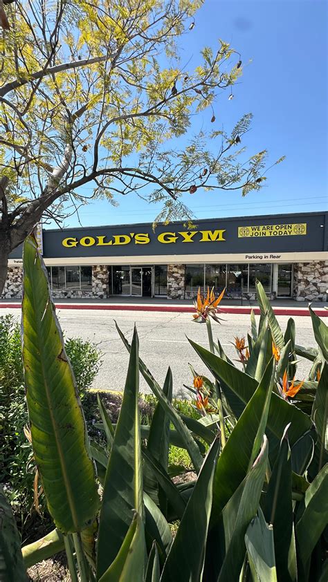 Gold's Gym SoCal (@goldsgymsocal) • Instagram photos and videos