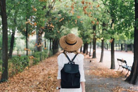 Learning a Language 的图像结果