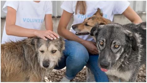 Community Activities 的图像结果