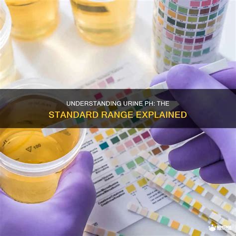 Understanding Urine Ph: The Standard Range Explained | MedShun