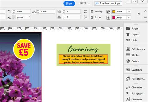 Image result for Control Panel InDesign
