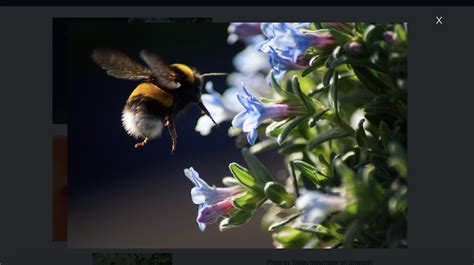 Image result for JavaScript Modals