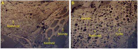 Coal-Hosted Al-Ga-Li-REE Deposits in China: A Review