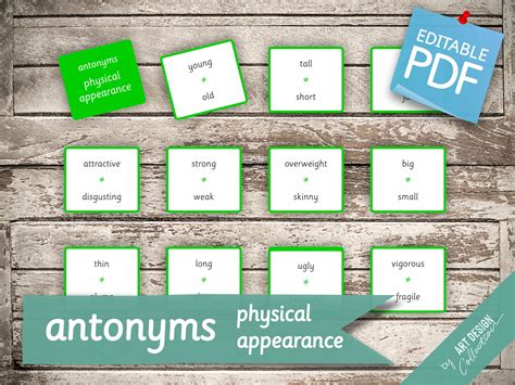 ANTONYMS Physical Appearance 19 Montessori Cards Flash - Etsy